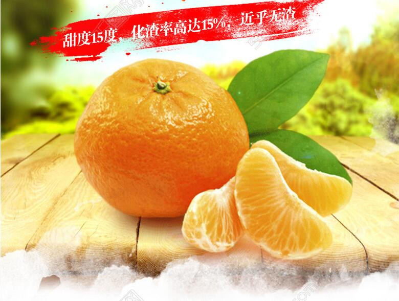 精品柑橘